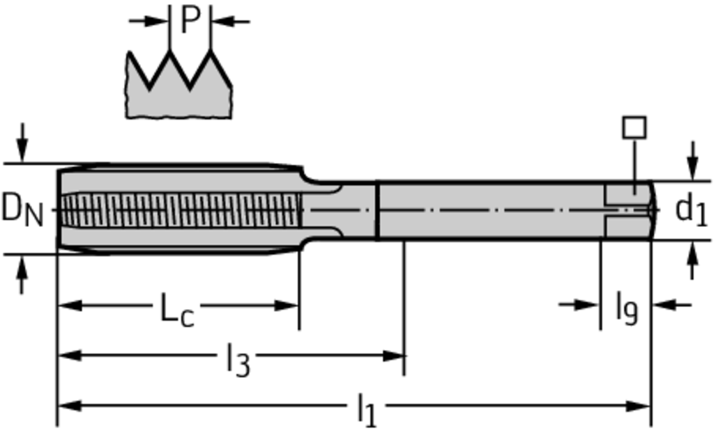 20165-M5 - HSS-E Gewindebohrer, kurz - /images/P_TR_KMB-20165-Z_D_01.png