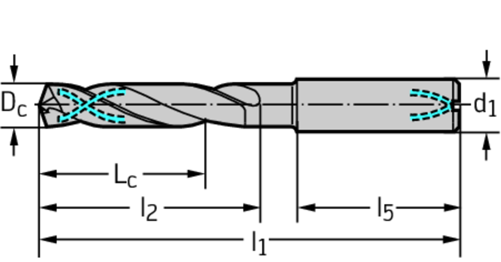 DC160-12-03.000A1-WJ30EU - VHM-Bohrer mit Kühlkanal - /images/T_DR_DC160-12-A0_D_01.png