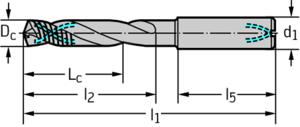 DC170-03-03.000A1-WJ30EJ - VHM-Bohrer mit Kühlkanal - /images/T_DR_DC170-A1_D_01.png