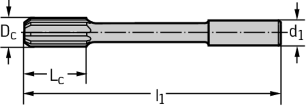 F1342-1.1 - HSS-Maschinen-Reibahlen - /images/T_DR_F1342-Z_D_01.png