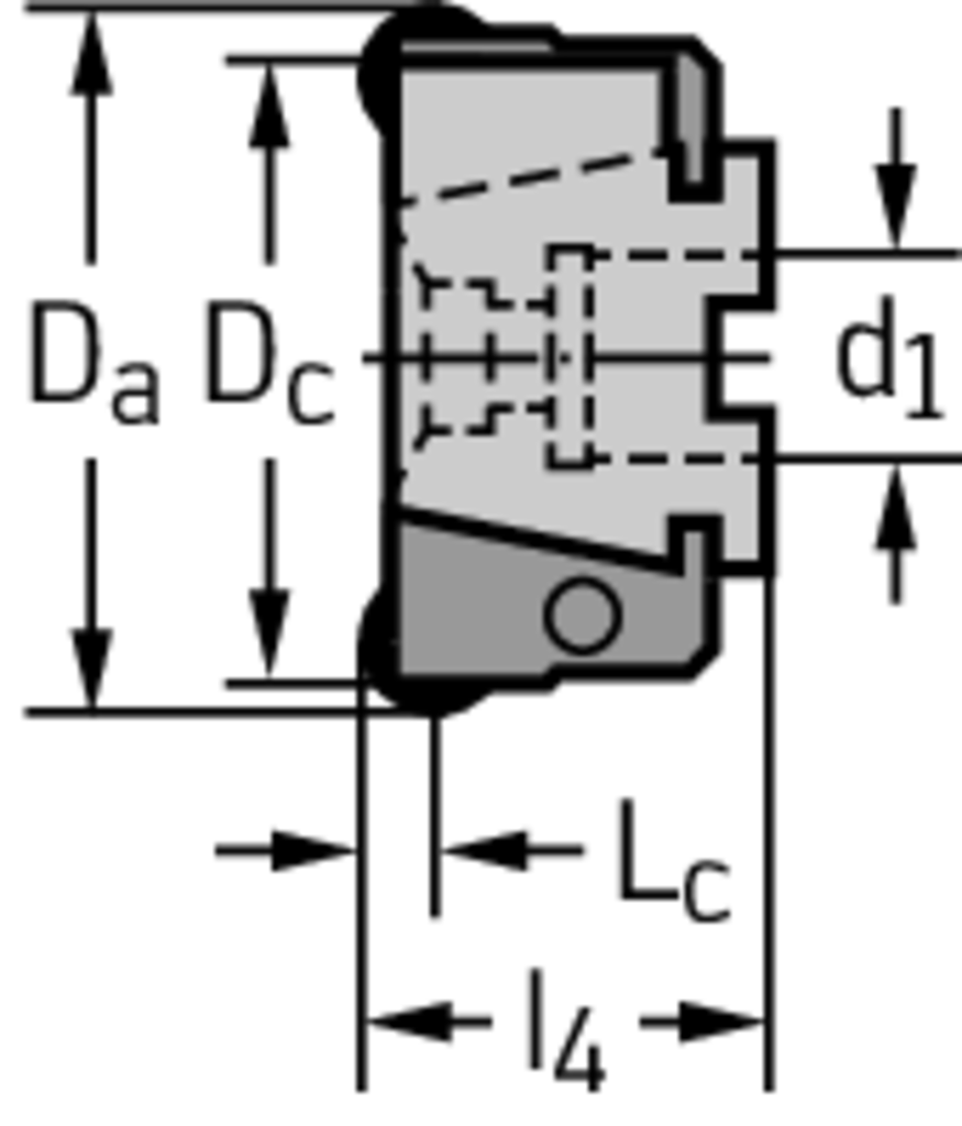 F2010.B.080.Z06.06.R720M - Planfräser - /images/W_MI_F2010-B-RO_D_01.png