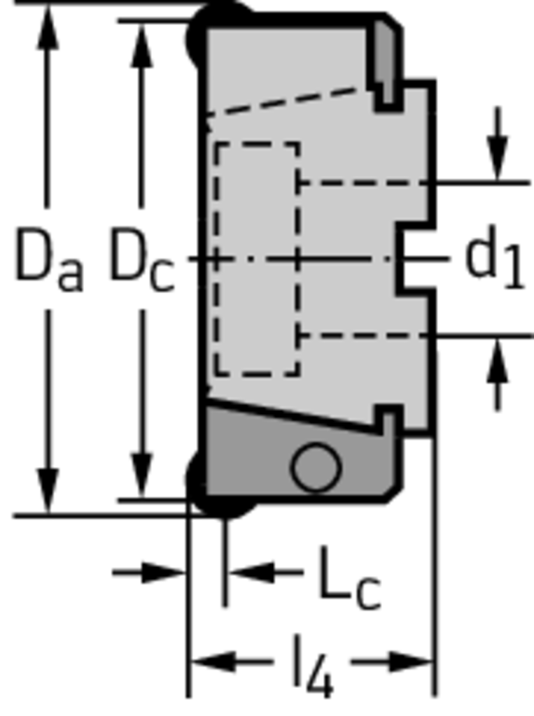F2010.B.100.Z07.06.R758M - Planfräser - /images/W_MI_F2010-B-RO_D_02.png