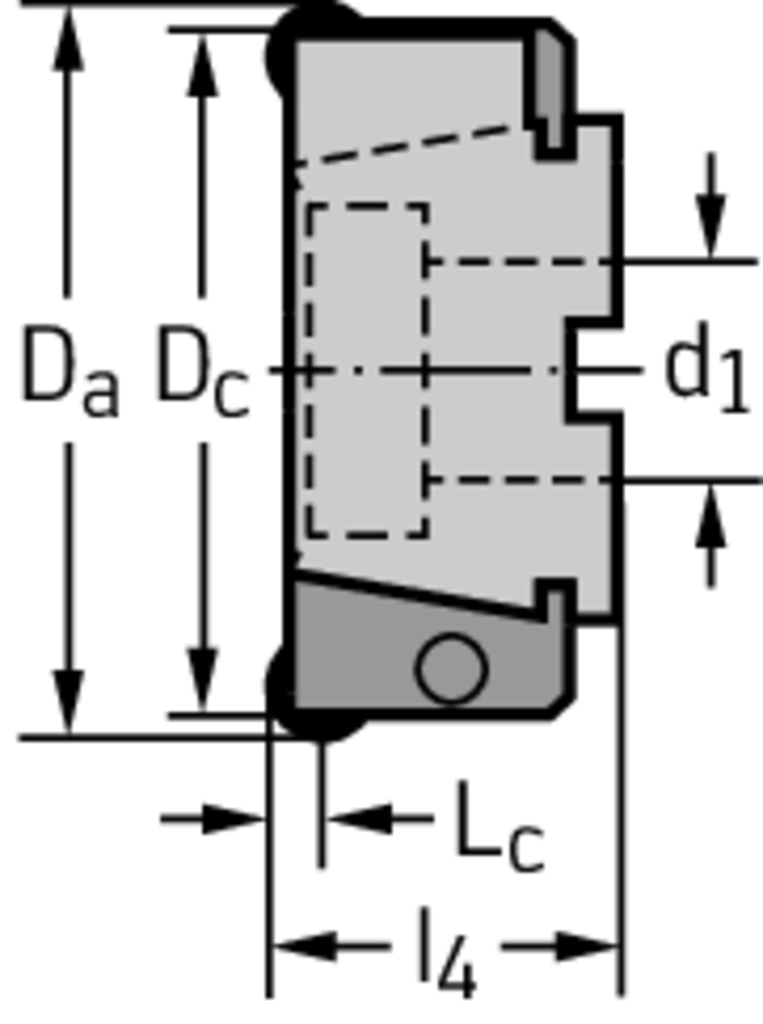 F2010.B.125.Z08.06.R720M - Planfräser - /images/W_MI_F2010-B-RO_D_02.png