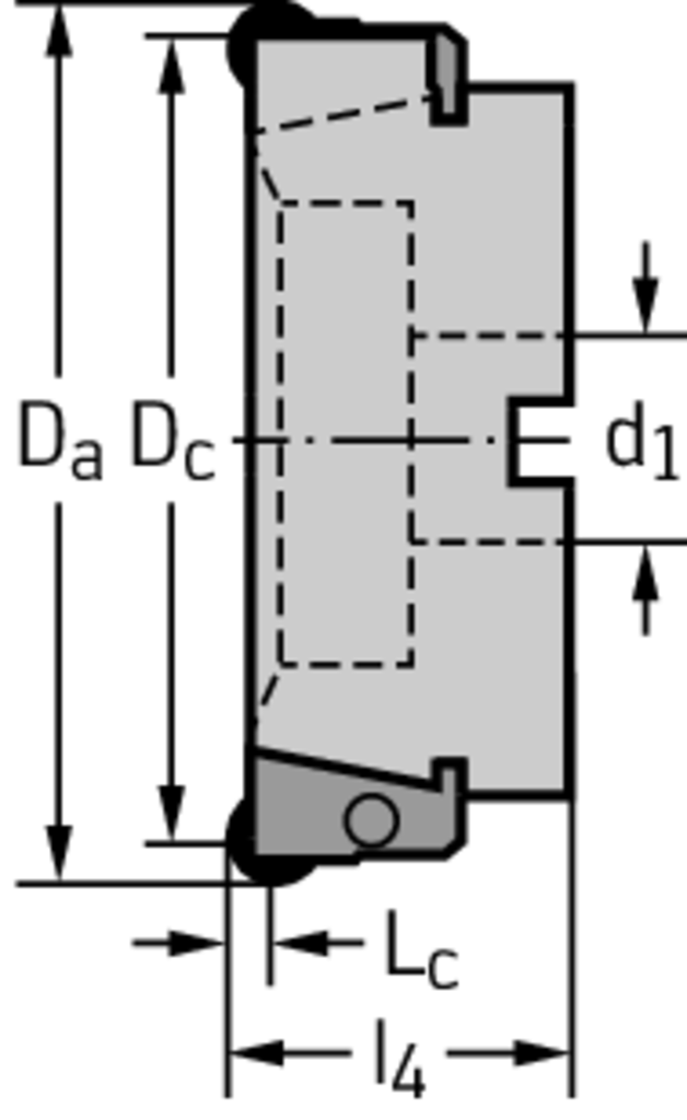 F2010.B.160.Z10.04.R759M - Planfräser - /images/W_MI_F2010-B-RO_D_03.png