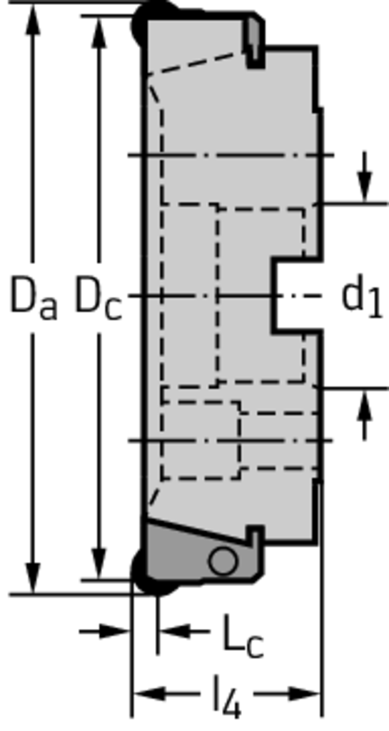 F2010.B.160.Z10.06.R720M - Planfräser - /images/W_MI_F2010-B-RO_D_04.png