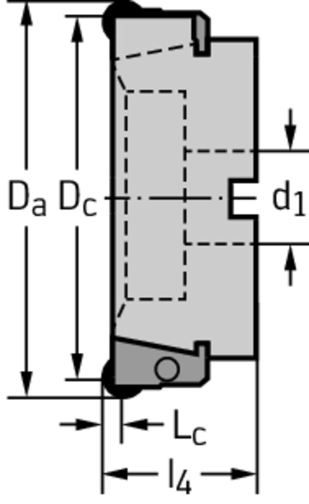 F2010.B.250.Z16.06.R758M - Planfräser - /images/W_MI_F2010-B-RO_D_03.png