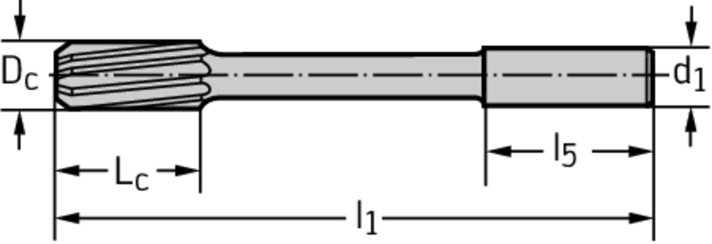 F2171-3 - HM-Maschinen-Reibahlen - /images/T_DR_F2171-Z_D_01.png