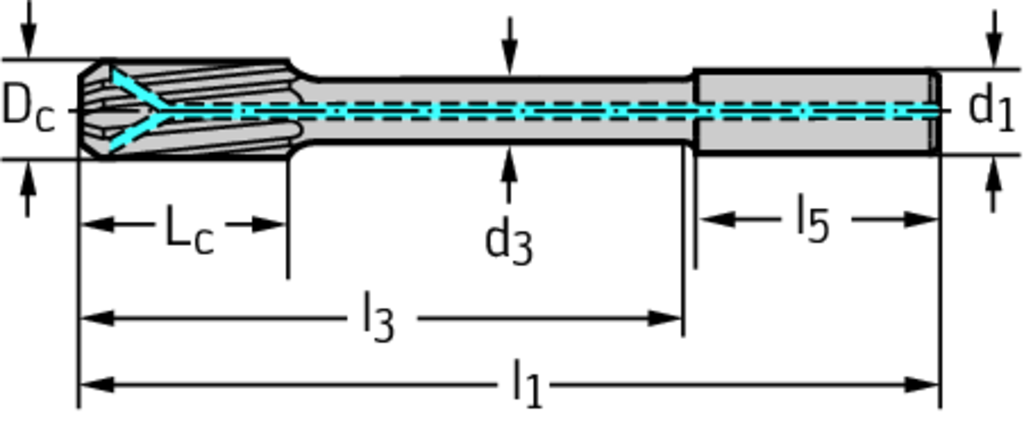 F2481TMS-5.01 - VHM-HSC-Reibahlen - /images/T_DR_F2481-Z_D_01.png