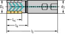 F5038.W25.025.Z02.32 - Igel-Fräser - /images/W_MI_F5138-W_D_01.png