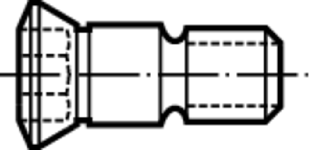 FS1153 - Schrauben mit Kopf - /images/W_EZ_PASSSCHRAUBE_D_01.png