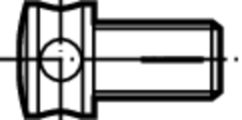 FS339 - Schrauben mit Kopf - /images/W_EZ_STELLSCHRAUBE-AX_D_01.png