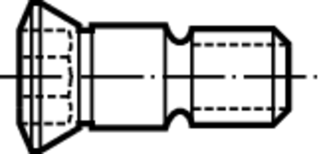 FS922 - Schrauben mit Kopf - /images/W_EZ_PASSSCHRAUBE_D_01.png