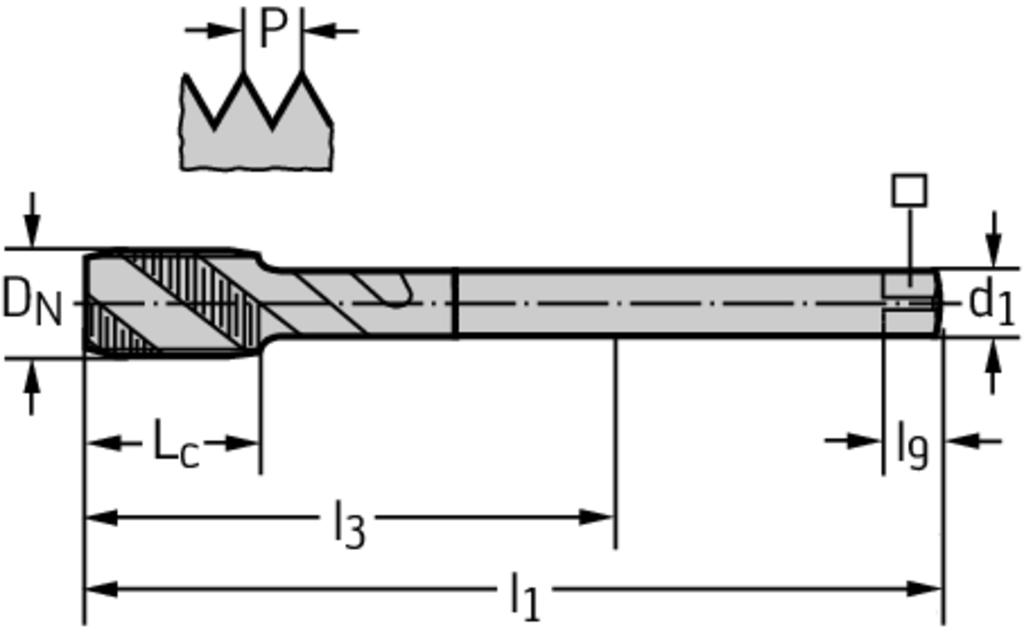 M205549-EGM10 - HSS-E Maschinen-Gewindebohrer - /images/P_TR_PDUR-20555-ZUE_D_01.png