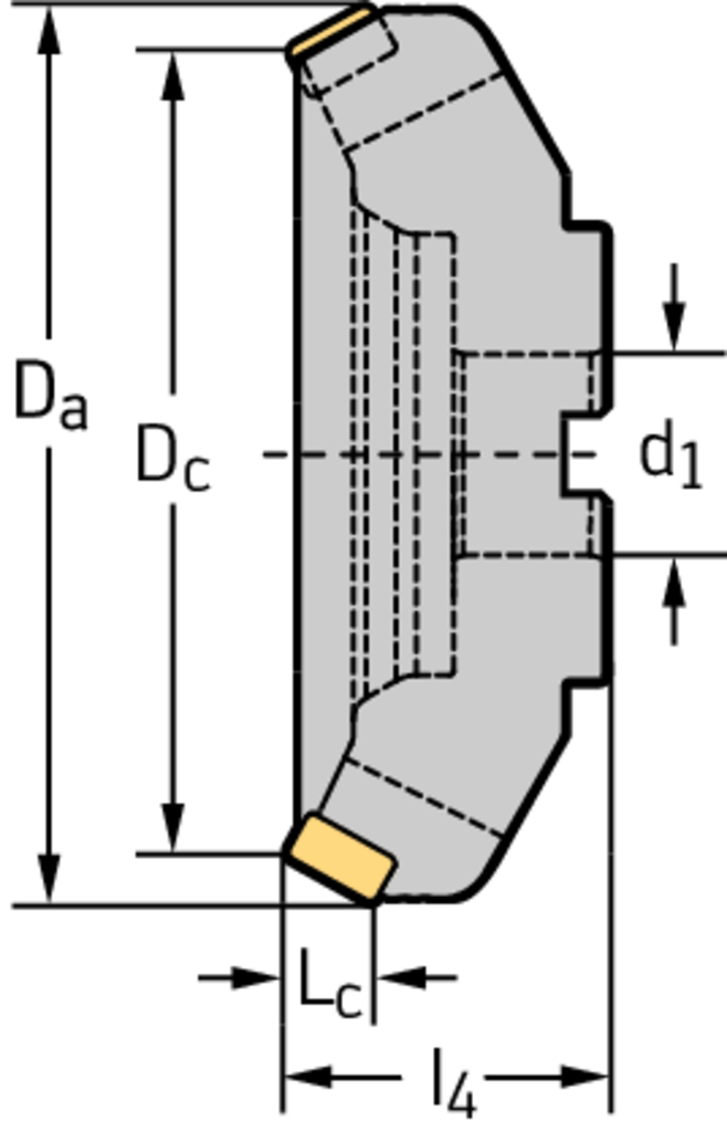 M3016-125-B40-06-16 - Planfräser für die Schwerzerspanung - /images/W_MI_M3016_B2_D_01.png