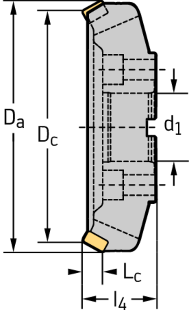 M3016-200-B60-09-16 - Planfräser für die Schwerzerspanung - /images/W_MI_M3016_B3_D_01.png