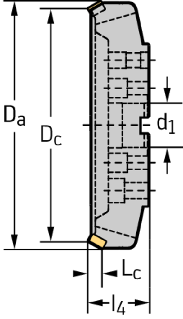 M3016-315-B60-13-16 - Planfräser für die Schwerzerspanung - /images/W_MI_M3016_B4_D_01.png