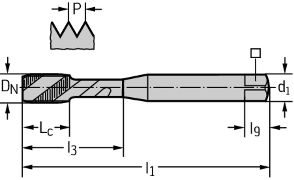 P205198-M6 - HSS-E Maschinen-Gewindebohrer - /images/P_TR_PDUR-205178-ZV_D_01.png
