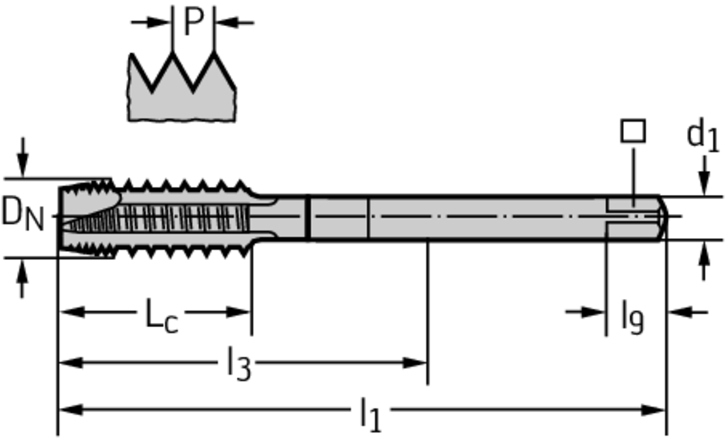 P40360-M20 - HSS-E Maschinen-Gewindebohrer - /images/P_TR_PTEX-P40360-ZUE_D_01.png