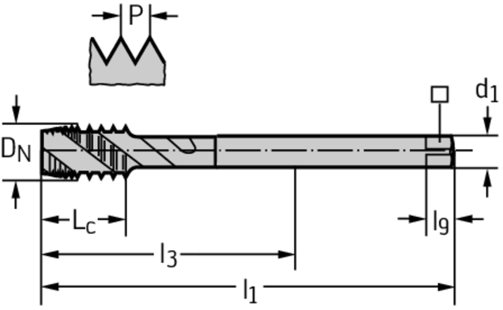 P40569-M12 - HSS-E Maschinen-Gewindebohrer - /images/P_TR_PDUR-40567-ZUE_D_01.png