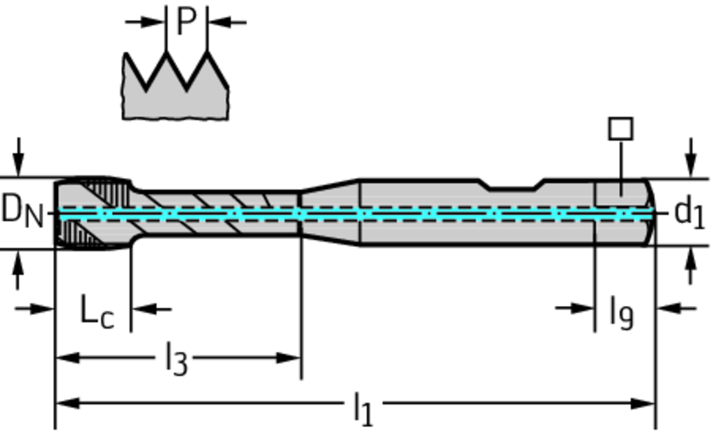 S2056312-M20 - HSS-E Maschinen-Gewindebohrer - /images/P_TR_PDUR-S2051312-ZVB_D_01.png