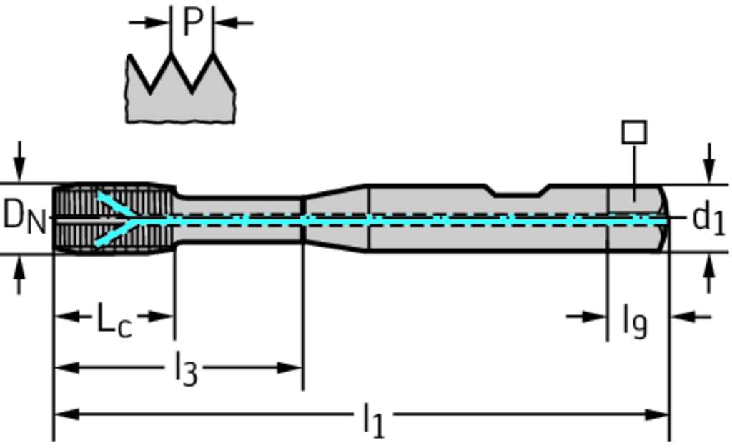 S2066345-M12 - HSS-E Maschinen-Gewindeformer - /images/P_TR_PDYN-S2061345-ZVB_D_01.png