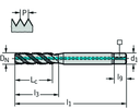TC120-M10-C1-WW60AG - HSS-E-PM Maschinen-Gewindebohrer - /images/P_TR_TC120-M-C1_D_01.png