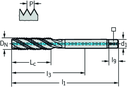 TC120-M12-L1-WW60AG - HSS-E-PM Maschinen-Gewindebohrer - /images/P_TR_TC120-M-L1_D_01.png