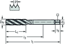 TC120-M20-L0-WW60AG - HSS-E-PM Maschinen-Gewindebohrer - /images/P_TR_TC120-M-L0_D_01.png