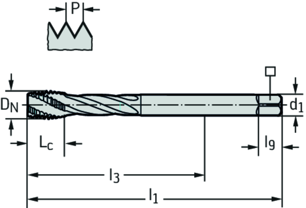 TC121-M14-L0-WY80BD - HSS-E (-PM) Maschinen-Gewindebohrer - /images/P_TR_TC121-M-L0_D_01.png