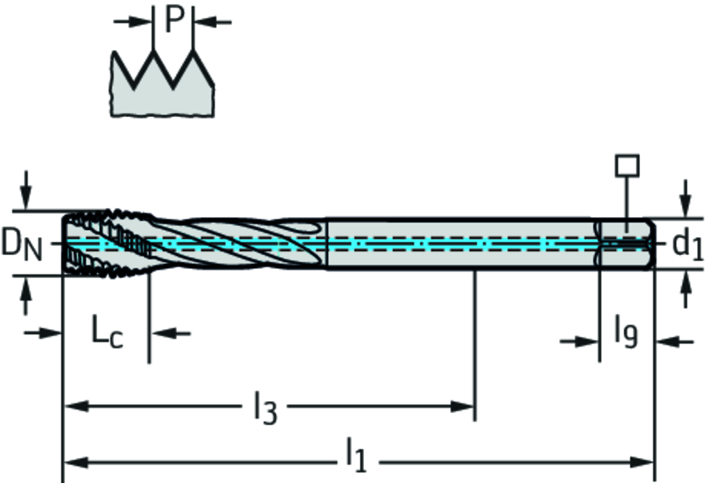 TC121-M14-L1-WW60RG - HSS-E (-PM) Maschinen-Gewindebohrer - /images/P_TR_TC121-M-L1_D_01.png