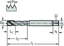 TC121-M2-C0-WW60RG - HSS-E (-PM) Maschinen-Gewindebohrer - /images/P_TR_TC121-M-C0_D_01.png