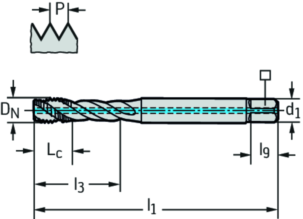 TC121-M5-C1-WW60RG - HSS-E (-PM) Maschinen-Gewindebohrer - /images/P_TR_TC121-M-C1_D_01.png