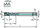 TC121-M5-C1-WW60RG - HSS-E (-PM) Maschinen-Gewindebohrer - /images/P_TR_TC121-M-C1_D_01.png