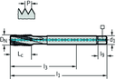 TC122-M12-L1-WW60BC - HSS-E-PM Maschinen-Gewindebohrer - /images/P_TR_TC122-M-L1_D_01.png