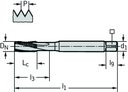 TC122-M3-C0-WW60BC - HSS-E-PM Maschinen-Gewindebohrer - /images/P_TR_TC122-M-C0_D_01.png