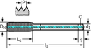 TC430-M12-L1-WW60AD - HSS-E-PM Maschinen-Gewindeformer - /images/P_TR_TC430-M-L1_D_01.png