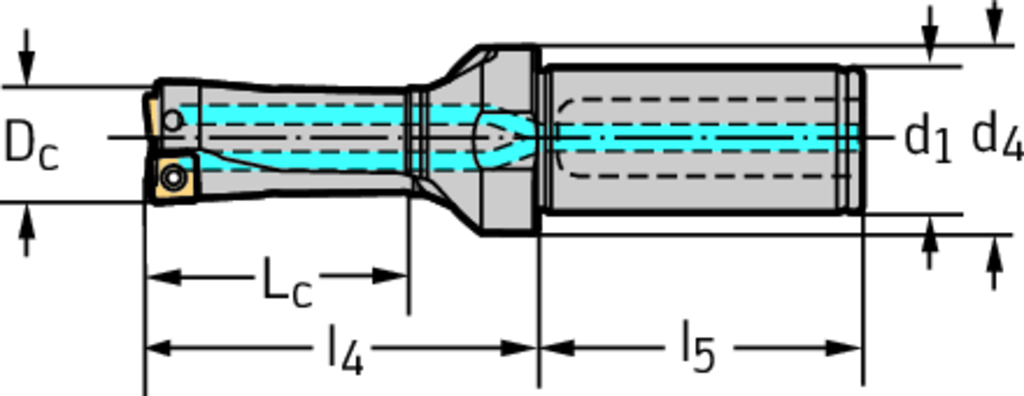 D3120-02-25.00F25-P22 - Wendeschneidplatten-Bohrer - /images/W_DI_D3120-02_D_01.png