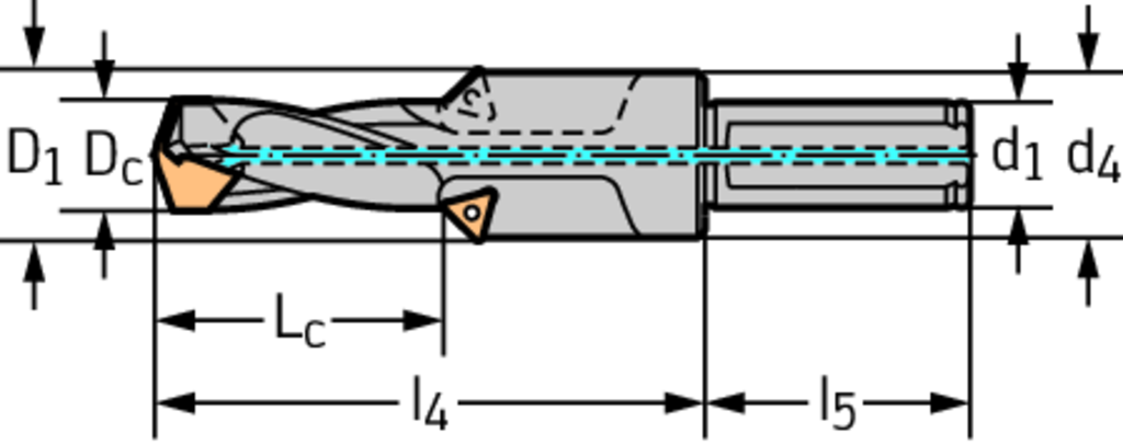 D4240-02-15.00F20-B - Wechselplatten-Bohrer - /images/W_DI_D4240-F_D_01.png