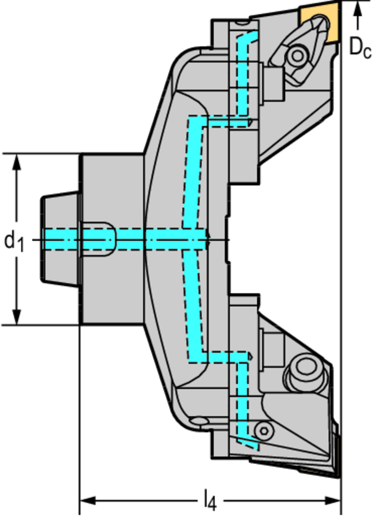 B5460-198-250-N8-CN19 - Boring XT - Zweischneidiges Aufbohrwerkzeug - /images/W_DI_B5460-N-CN19-1_D_01.png