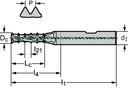 TC620-M4X0.5-W1D-WB10TJ - Mehrreihige Gewindefräser - /images/W_TR_TC620E-W_D_01.png