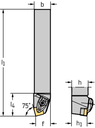 DSRNL124BM1 - Schaftwerkzeug – Pratzenspannung DSRN - /images/W_T_DSBNL-ISO_EX_D_01.png