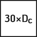 DB133-30-02.381A1-WJ30ER - PropertyIcon1 - /PropIcons/D_30xDc_Icon.png