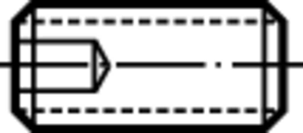 FS494 - Schrauben ohne Kopf - /images/W_EZ_STELLSCHRAUBE-DR_D_01.png