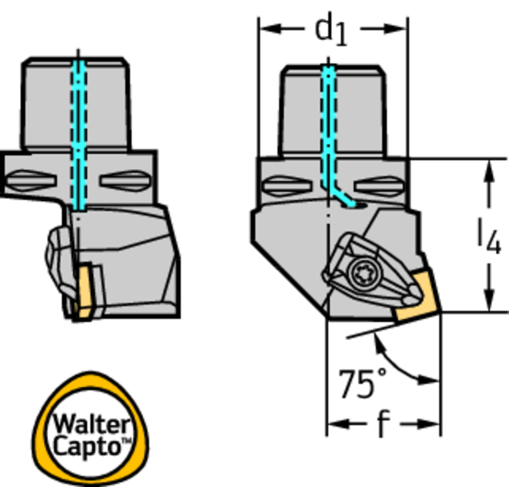 C8-DSKNR-55080-19 - Drehhalter – Pratzenspannung C...-DSKN - /images/W_T_DSKN-CAPTO_EX_D_01.png