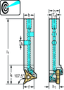 W1011-1212L-WL17-S-P - Schaftwerkzeug – Kopierdrehsystem W1011...-S-P - /images/W_T_W1011-12-20-L-AUSSEN-WL17-S-P_D_01.png