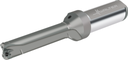 D3120-04-20.00F25-P21 - Wendeschneidplatten-Bohrer - /images/W_DI_D3120-04-18-00F25-P21_P_02_0.png