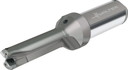 D3120-03-18.00F25-P21 - Wendeschneidplatten-Bohrer - /images/W_DI_D3120-03-18-00F25-P21_SILVER_P_02_1.png