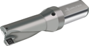 D4120-02-42.00F40-P46 - Wendeschneidplatten-Bohrer - /images/W_DI_D4120-02-39-00F40-P46_SILVER_P_02_1.png
