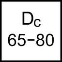 D4170-03-80.00N8-P45 - PropertyIcon2 - /images/D_Dc65-80_Icon.png