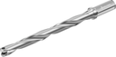 D4140-10-20.00F20-E - Wechselplatten-Bohrer - /images/D4140-10-1800F20-D_P_MV_AD.png